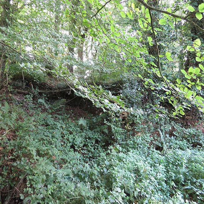 Photo de Château de Perrien