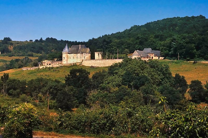 Photo de Château de Peyraux