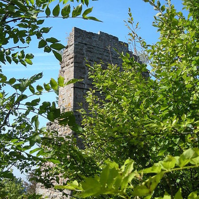 Photo de Château de Pierre-Percée