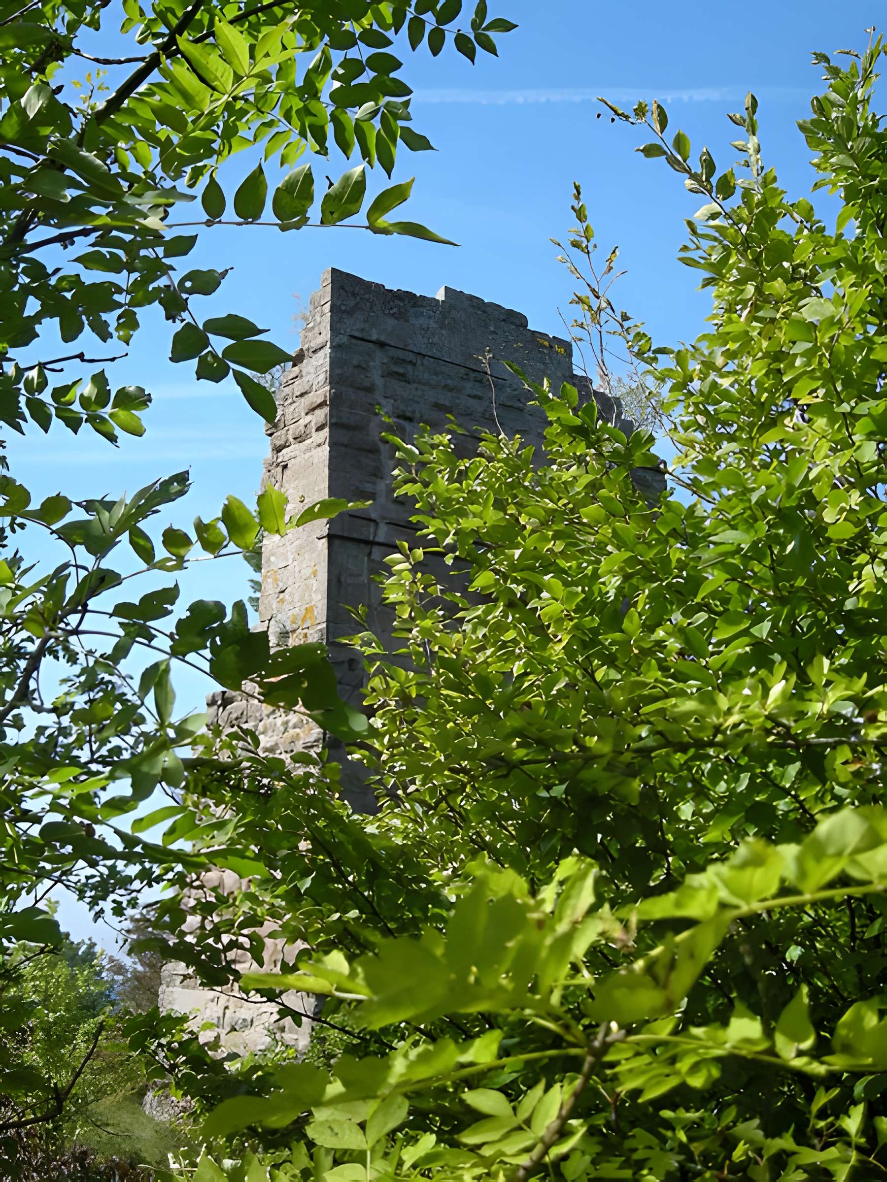 Château de Pierre-Percée