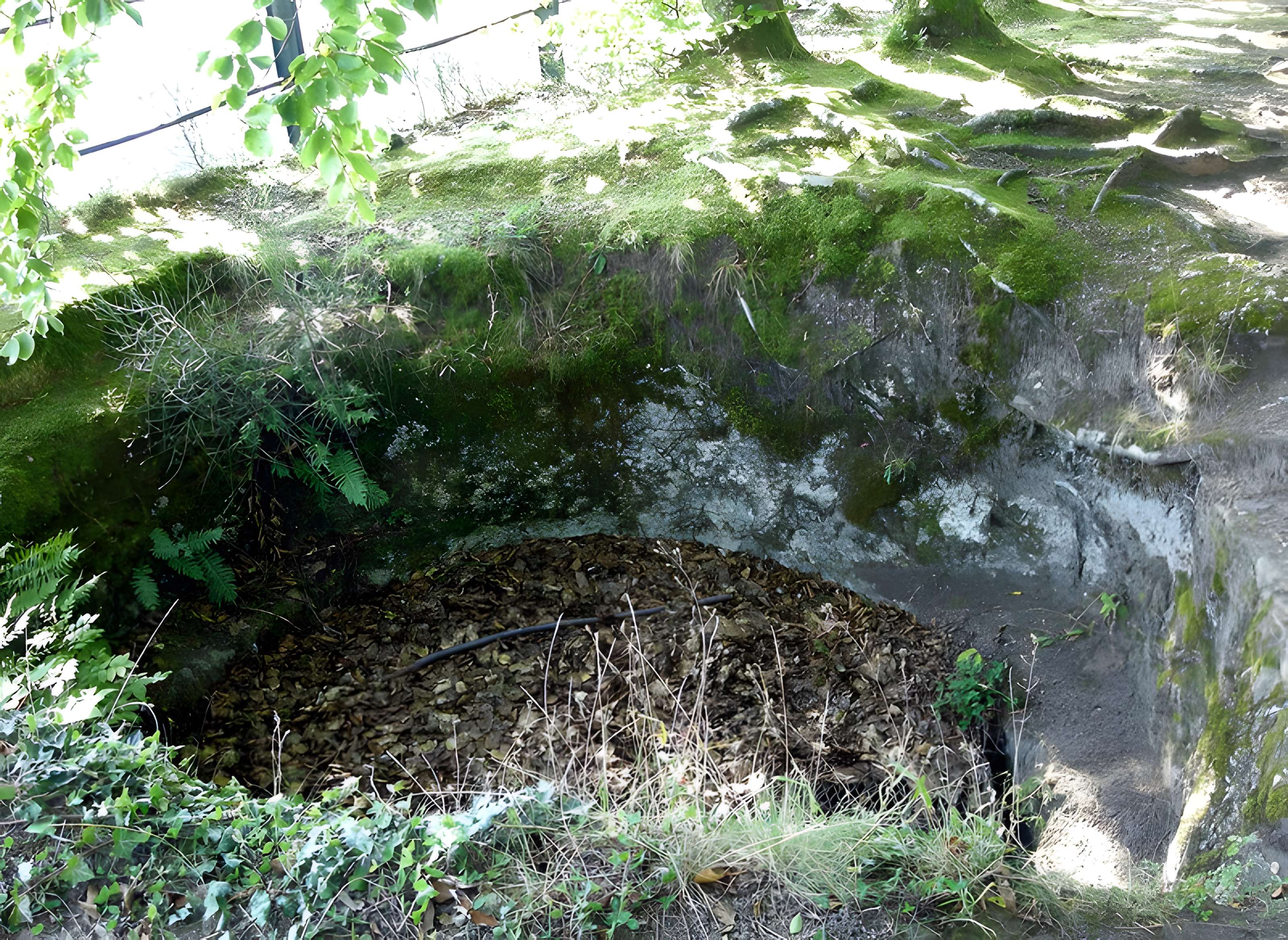 Château de Pierre-Percée