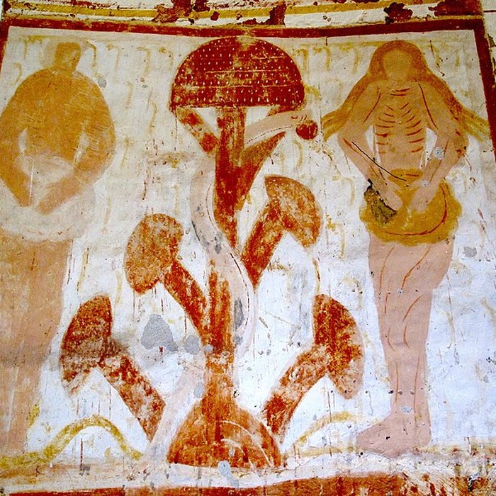 Photo de Château de Plaincourault