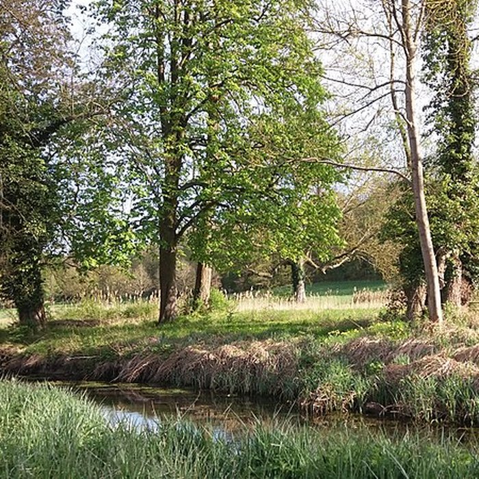 Photo de Château de Plaisir
