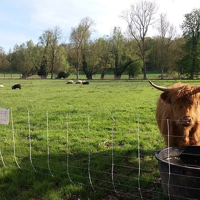 Photo de Château de Plaisir