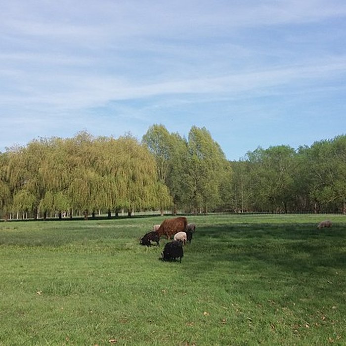 Photo de Château de Plaisir