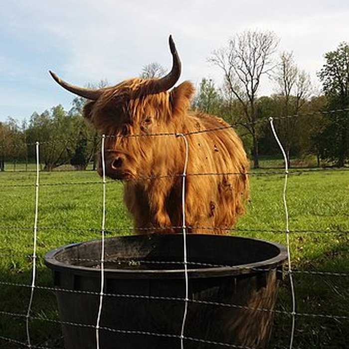 Photo de Château de Plaisir