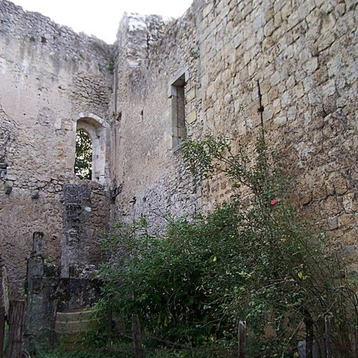 Photo de Château de Podensac