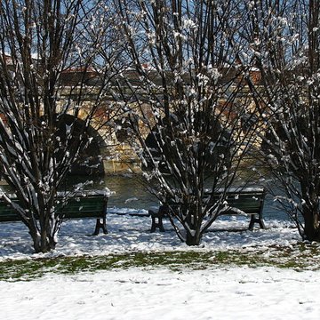 Pont-Neuf de Toulouse 