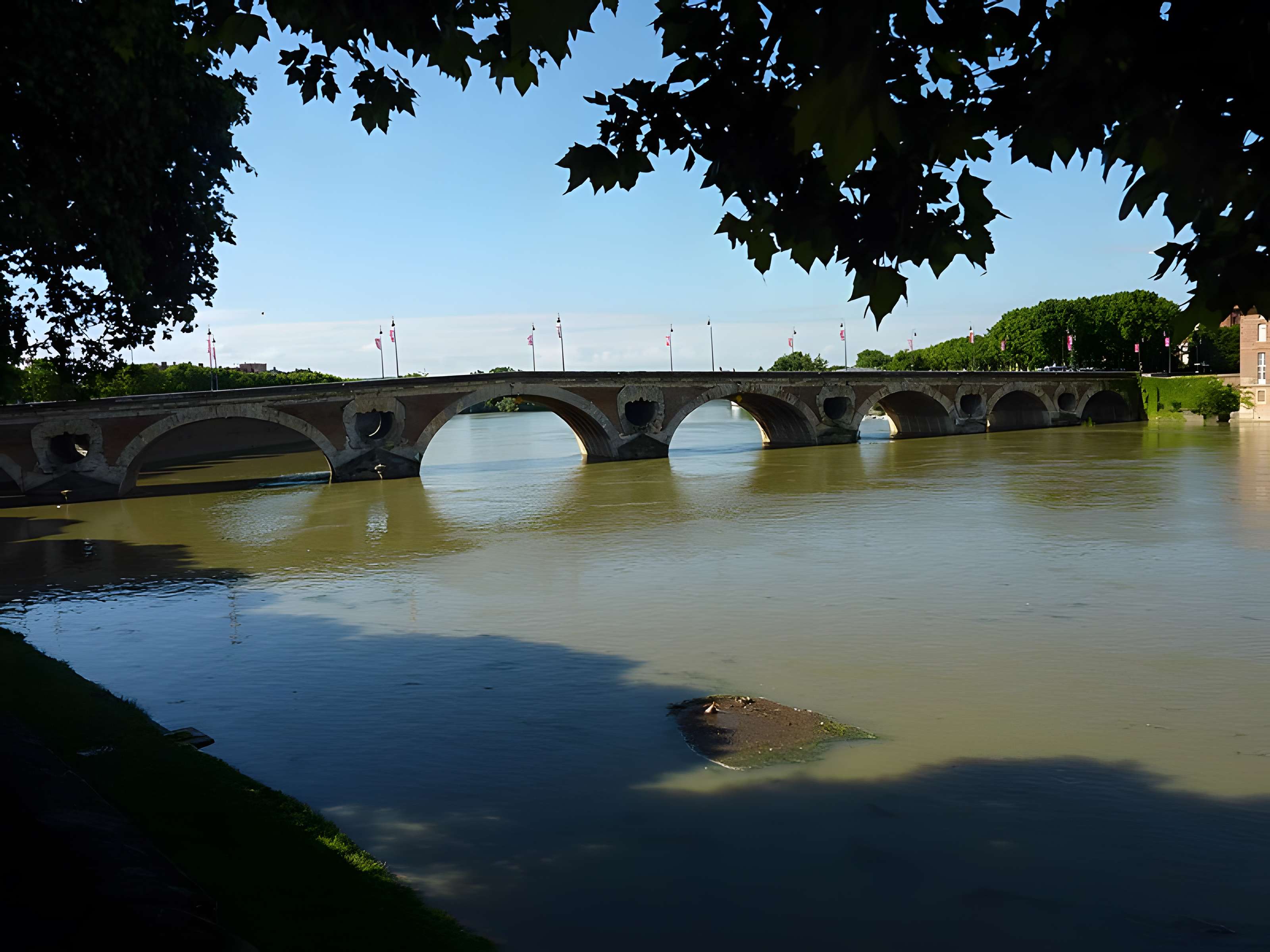 Pont-Neuf de Toulouse 