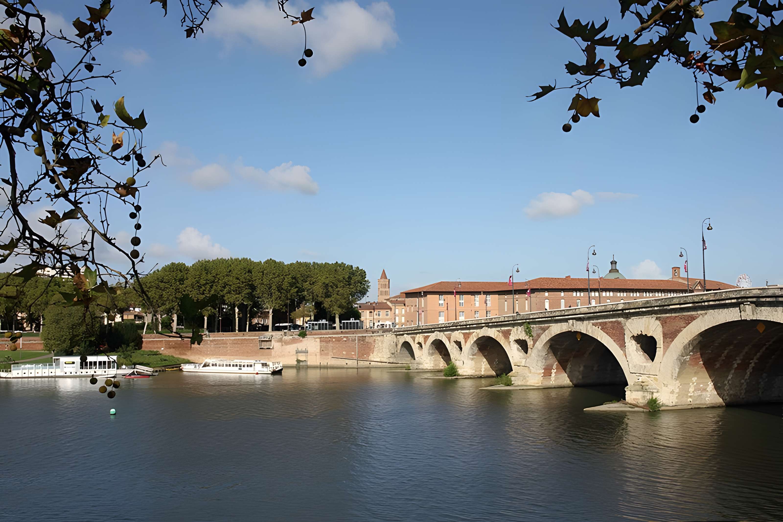 Pont-Neuf de Toulouse 
