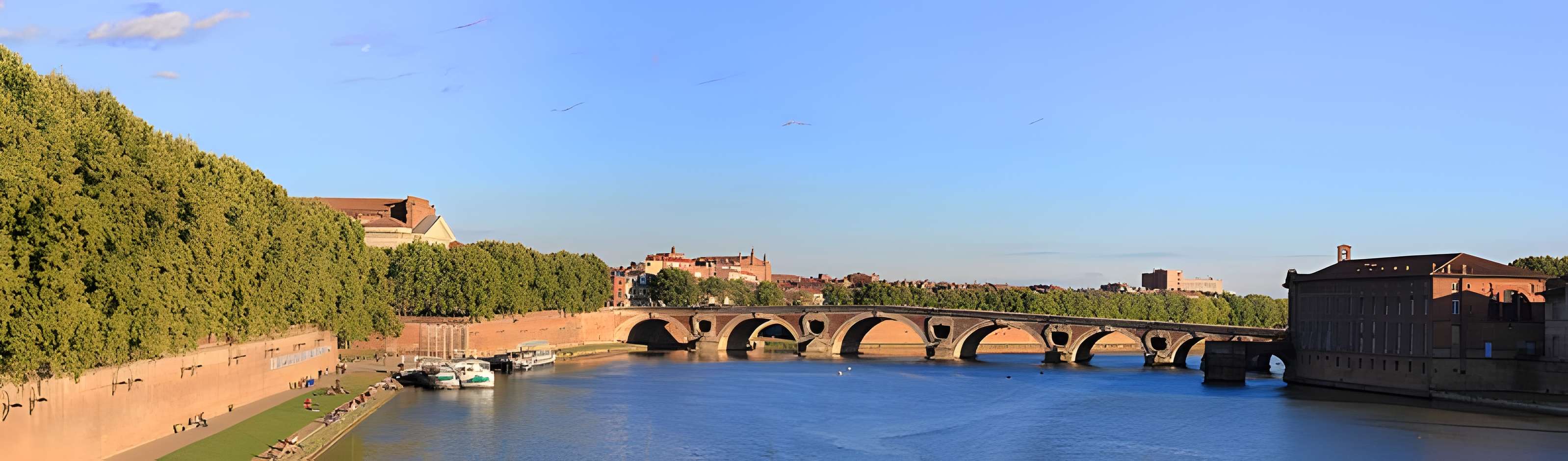 Pont-Neuf de Toulouse 