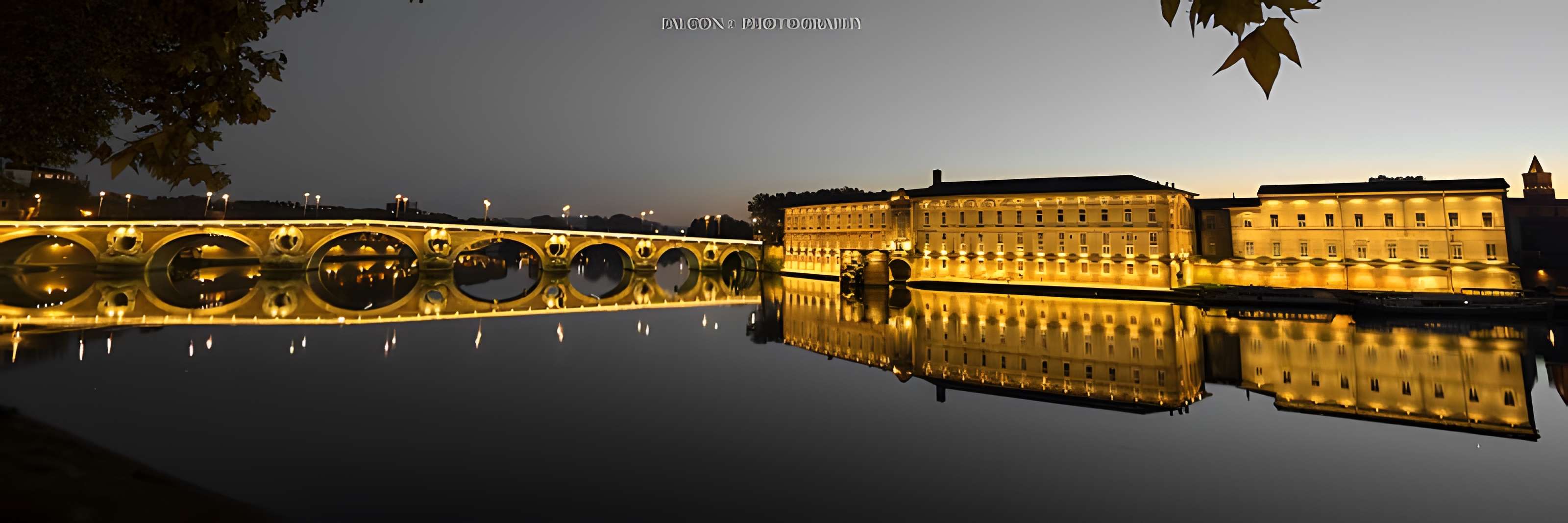 Pont-Neuf de Toulouse 