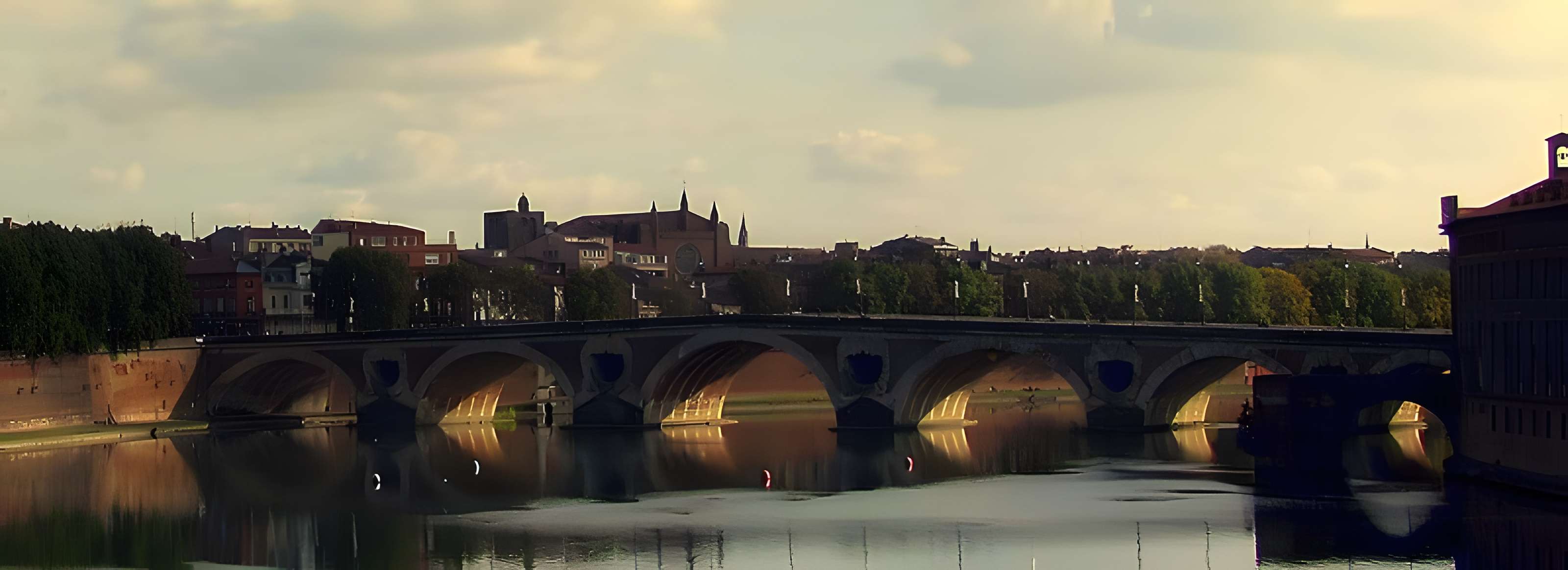 Pont-Neuf de Toulouse 