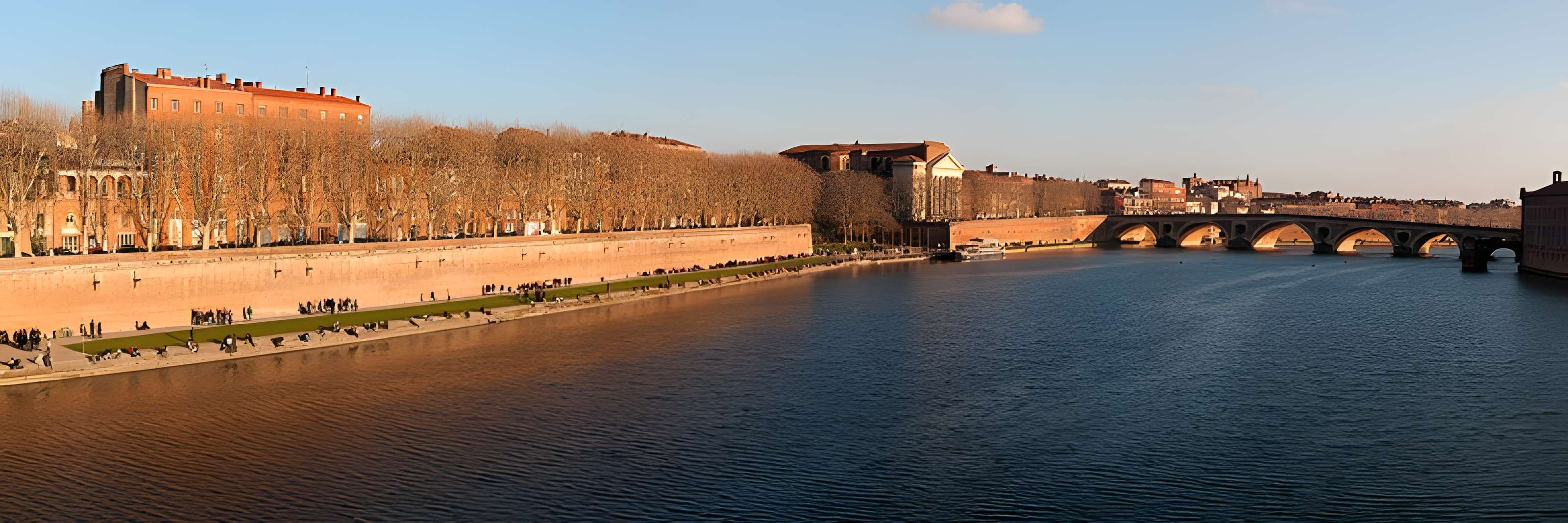 Pont-Neuf de Toulouse 
