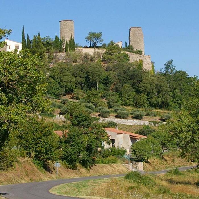 Photo de Château de Pontevès