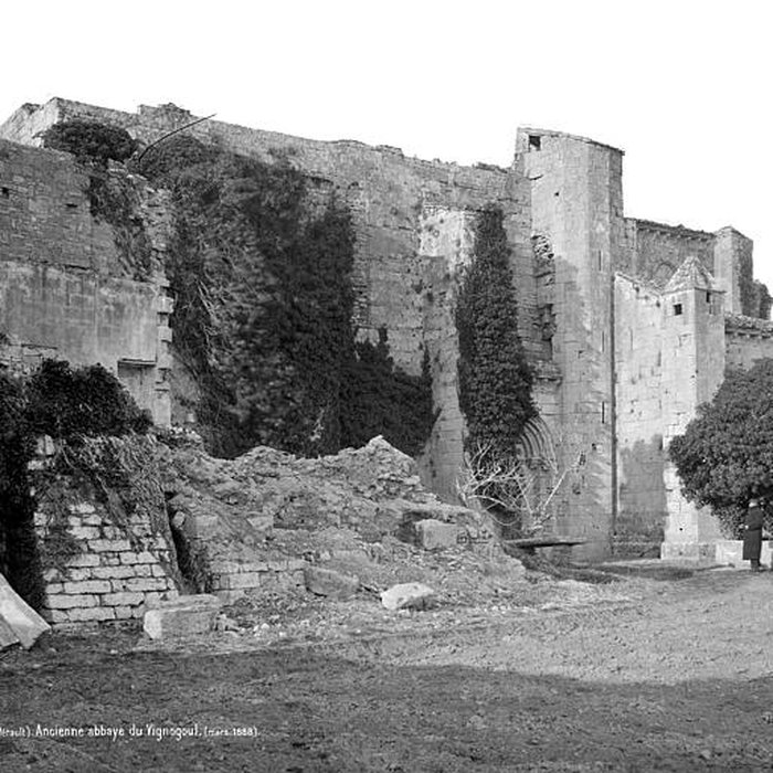 Photo de Ancienne abbaye de Vignogoul