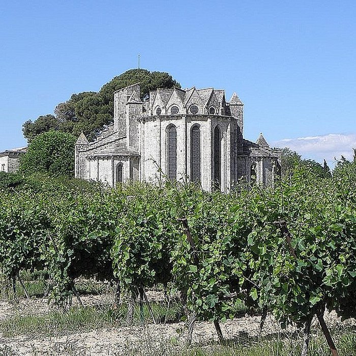 Photo de Ancienne abbaye de Vignogoul