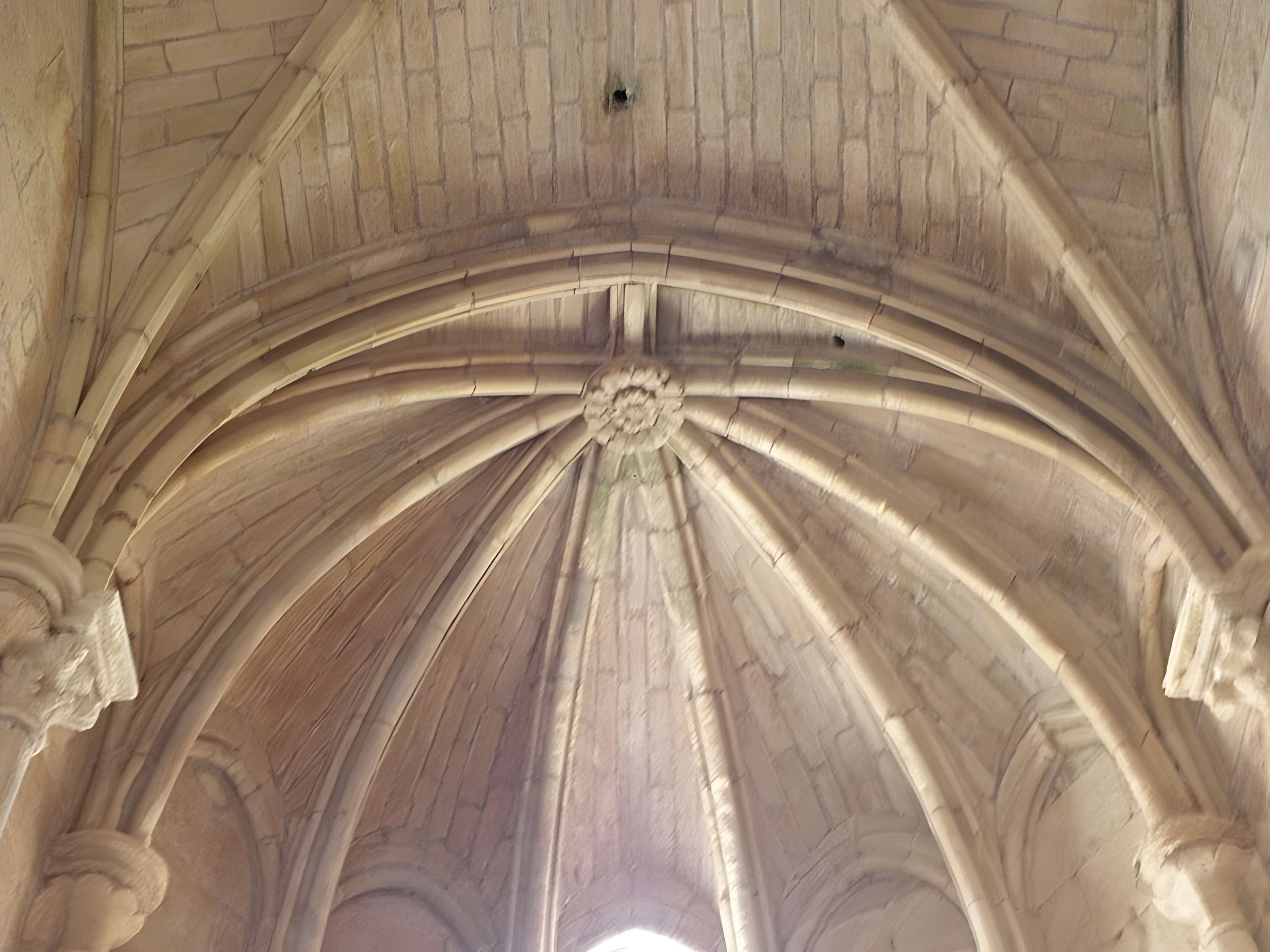 Ancienne abbaye de Vignogoul