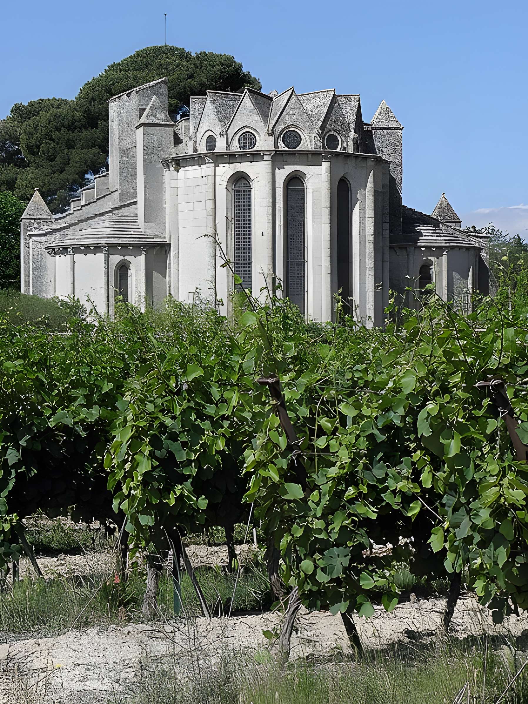 Ancienne abbaye de Vignogoul