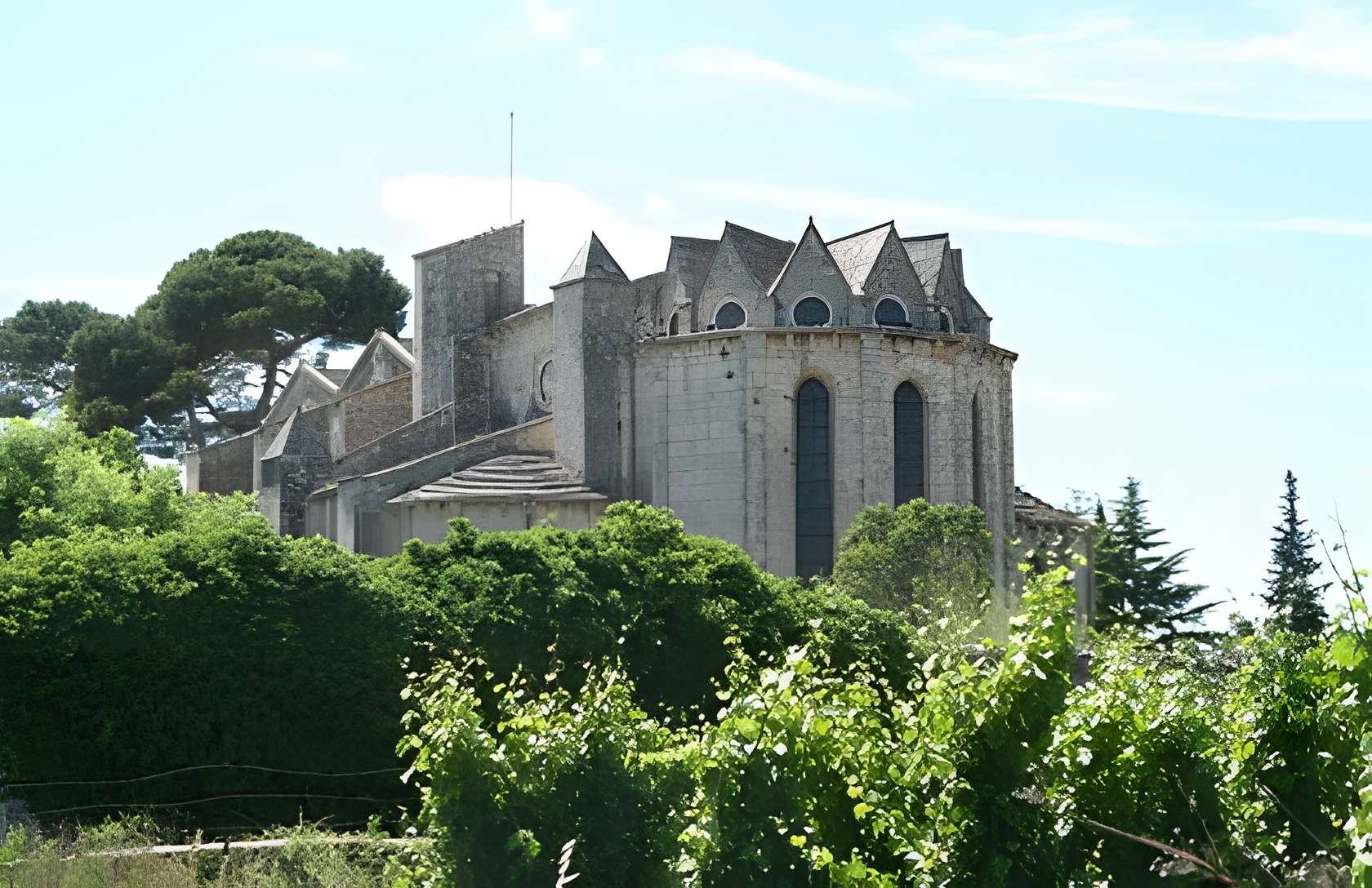 Ancienne abbaye de Vignogoul 