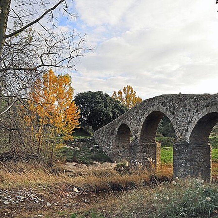 Photo de Pont-Vieux de Rieux-en-Val