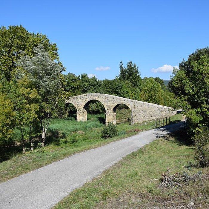 Photo de Pont-Vieux de Rieux-en-Val