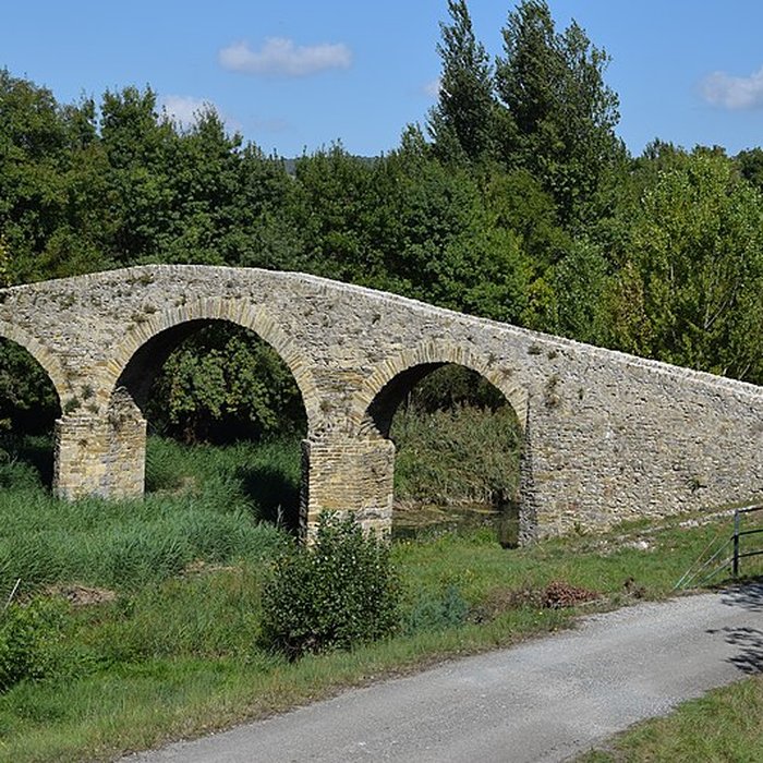 Photo de Pont-Vieux de Rieux-en-Val