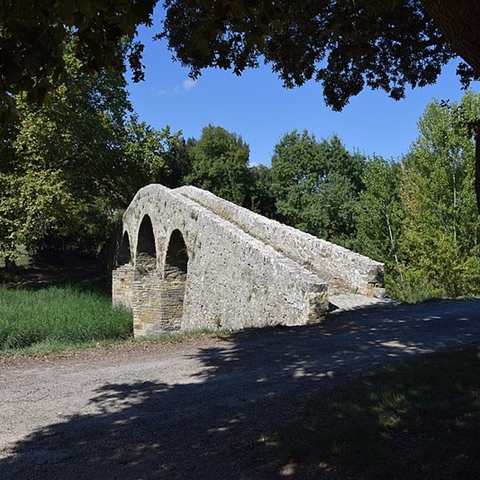 Photo de Pont-Vieux de Rieux-en-Val