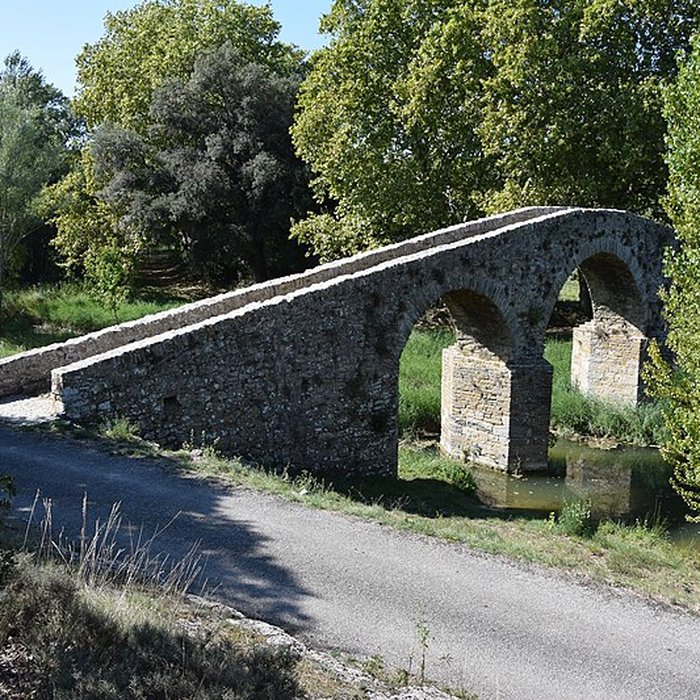 Photo de Pont-Vieux de Rieux-en-Val