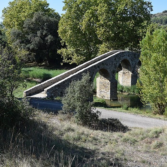 Photo de Pont-Vieux de Rieux-en-Val