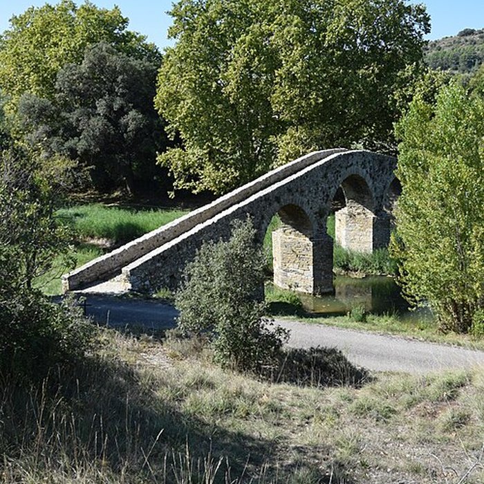 Photo de Pont-Vieux de Rieux-en-Val
