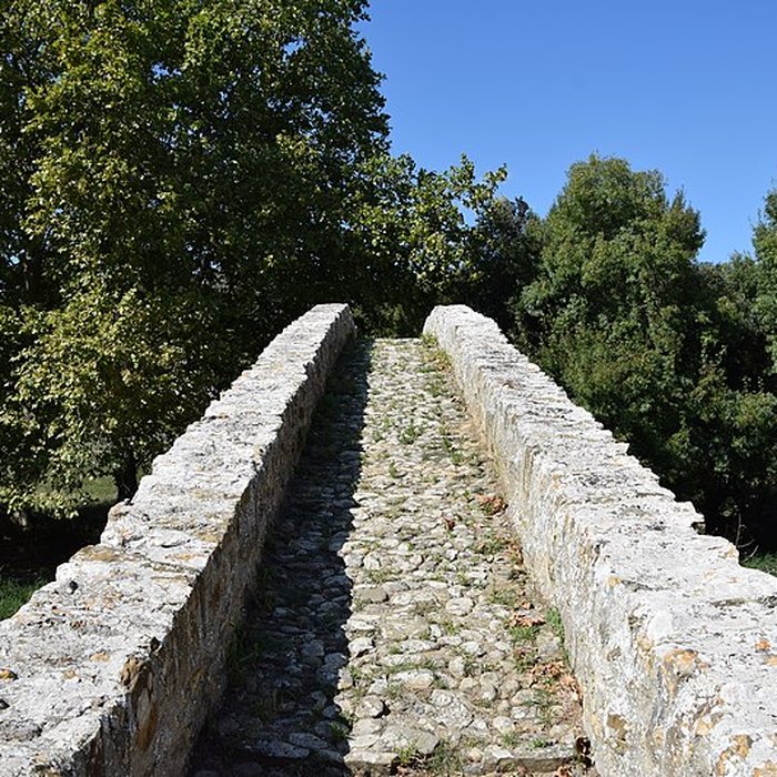 Photo de Pont-Vieux de Rieux-en-Val