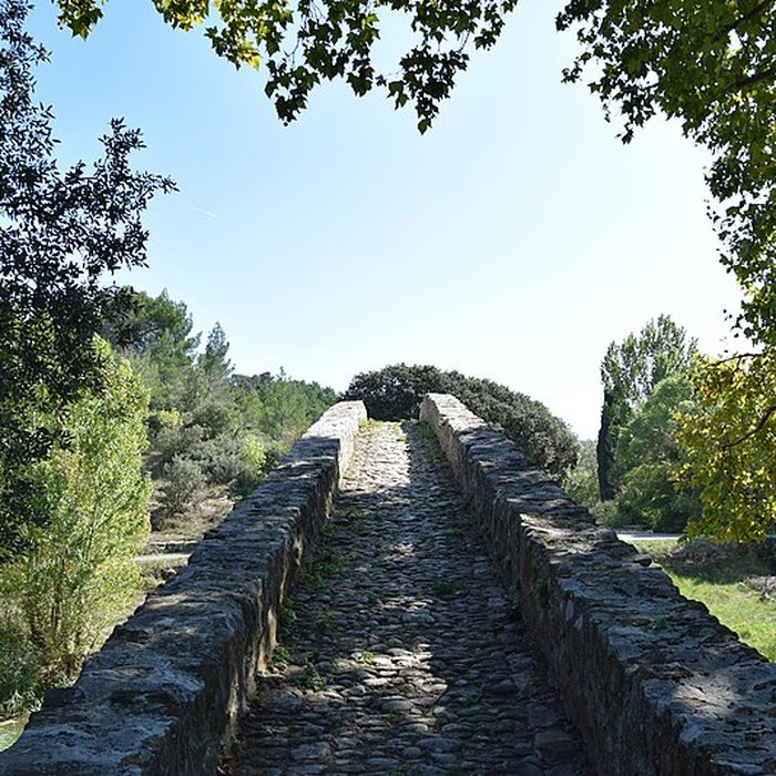 Photo de Pont-Vieux de Rieux-en-Val