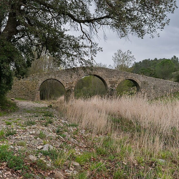 Photo de Pont-Vieux de Rieux-en-Val