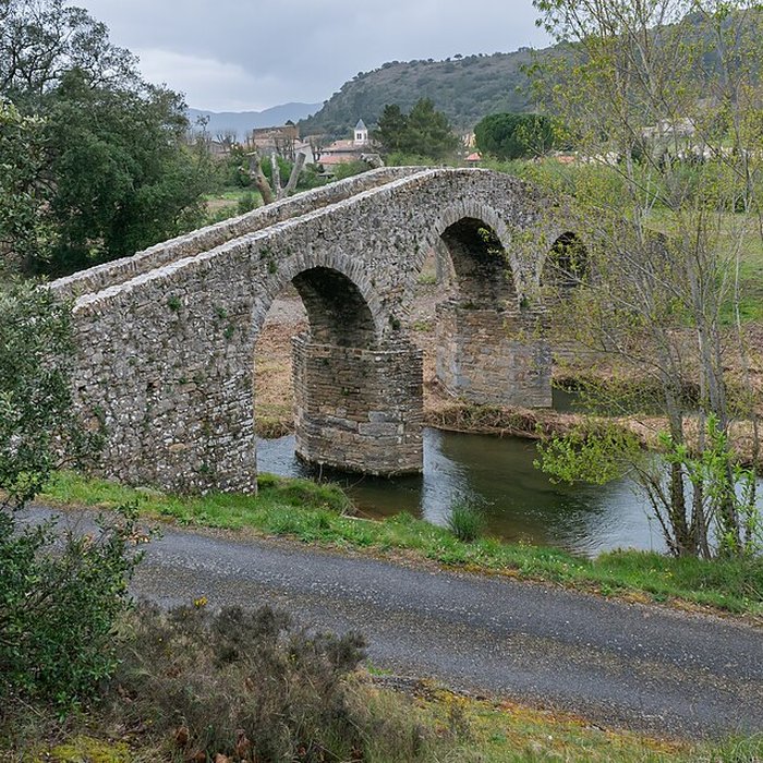 Photo de Pont-Vieux de Rieux-en-Val