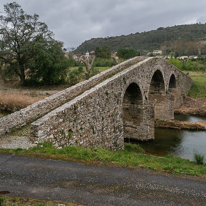 Photo de Pont-Vieux de Rieux-en-Val