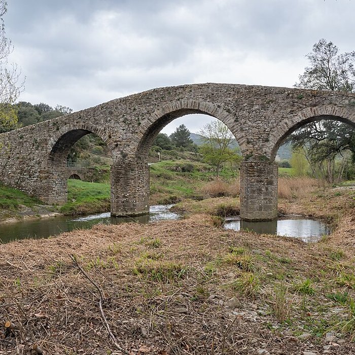 Photo de Pont-Vieux de Rieux-en-Val