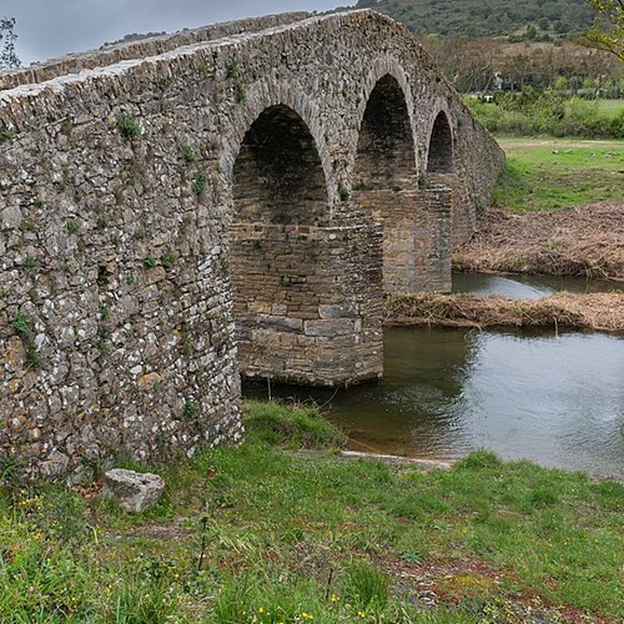 Photo de Pont-Vieux de Rieux-en-Val