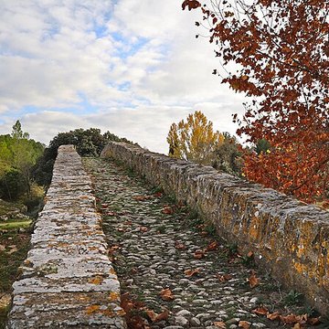 Pont-Vieux de Rieux-en-Val