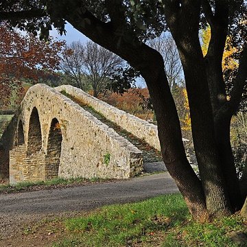 Pont-Vieux de Rieux-en-Val