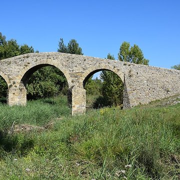 Pont-Vieux de Rieux-en-Val