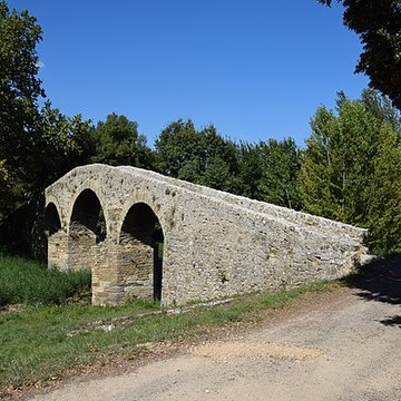 Pont-Vieux de Rieux-en-Val