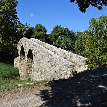 Pont-Vieux de Rieux-en-Val
