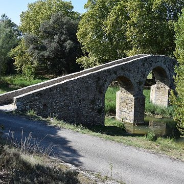 Pont-Vieux de Rieux-en-Val