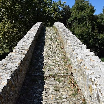 Pont-Vieux de Rieux-en-Val
