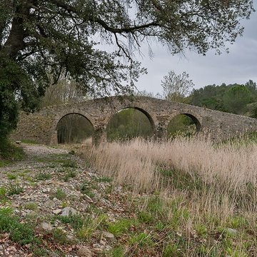 Pont-Vieux de Rieux-en-Val
