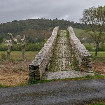 Pont-Vieux de Rieux-en-Val
