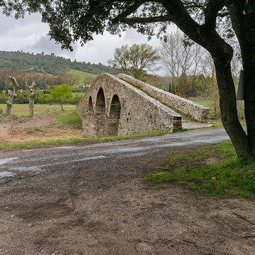 Pont-Vieux de Rieux-en-Val