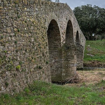 Pont-Vieux de Rieux-en-Val