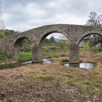 Pont-Vieux de Rieux-en-Val
